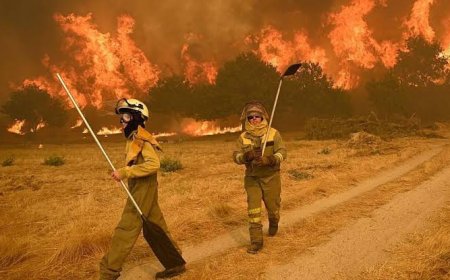 Spain is at 'extreme risk' of new forest fires as 14 fires spread.