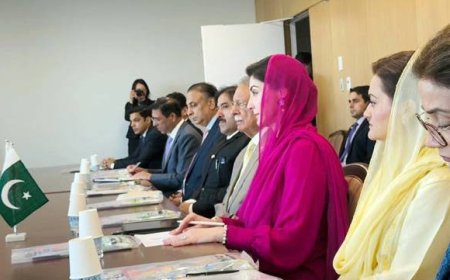 Chief Minister Maryam Nawaz ordered the adoption of Japanese technology for Punjab's sewage and waste treatment.