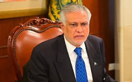 Pakistan has not requested anyone to sit with India for talks, FM Dar