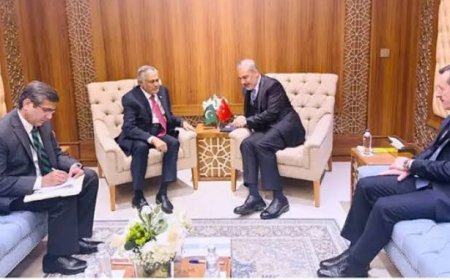 Pakistan and Turkey reiterated their solidarity with Palestine.