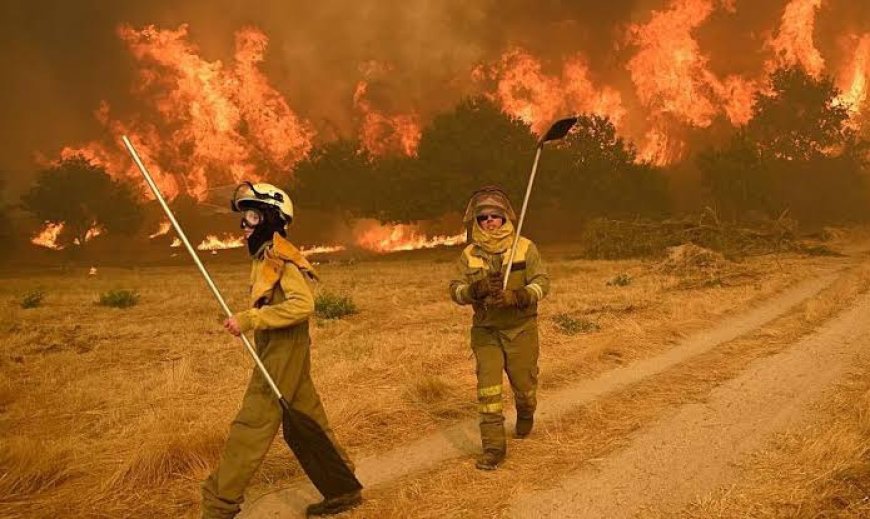 Spain is at 'extreme risk' of new forest fires as 14 fires spread.