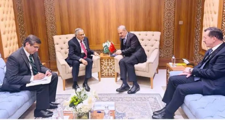 Pakistan and Turkey reiterated their solidarity with Palestine.