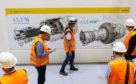 Why time is running out for Germany's green hydrogen industry