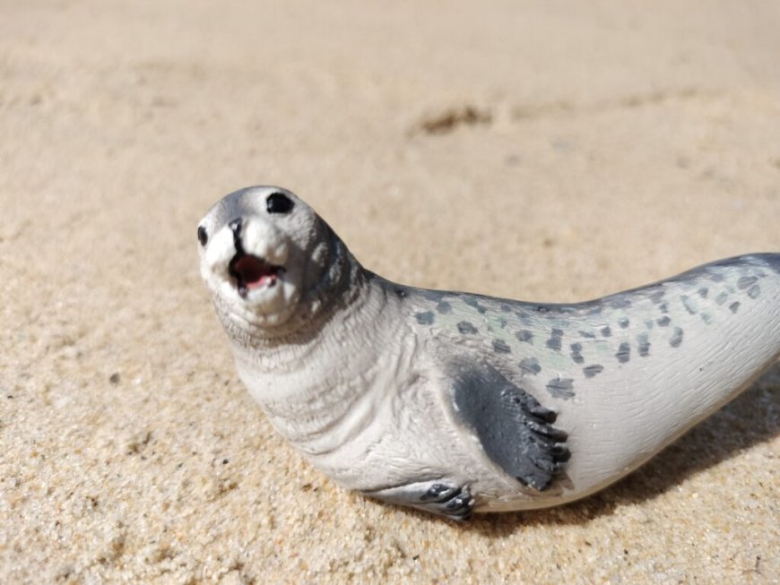 Are spotted seals friendly?