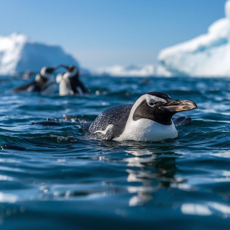 Are chinstrap penguins aggressive?